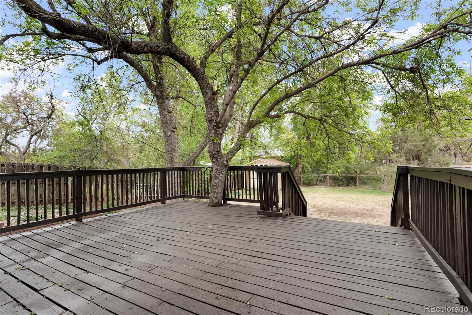 3352 Vivian Drive Wheat Ridge CO 80033