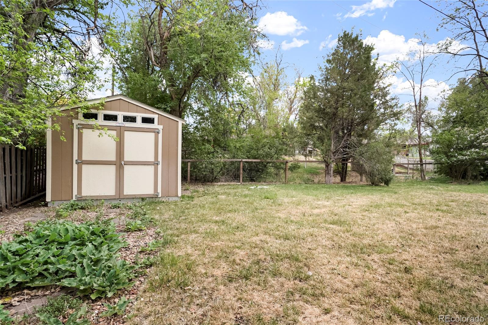 3352 Vivian Drive Wheat Ridge CO 80033