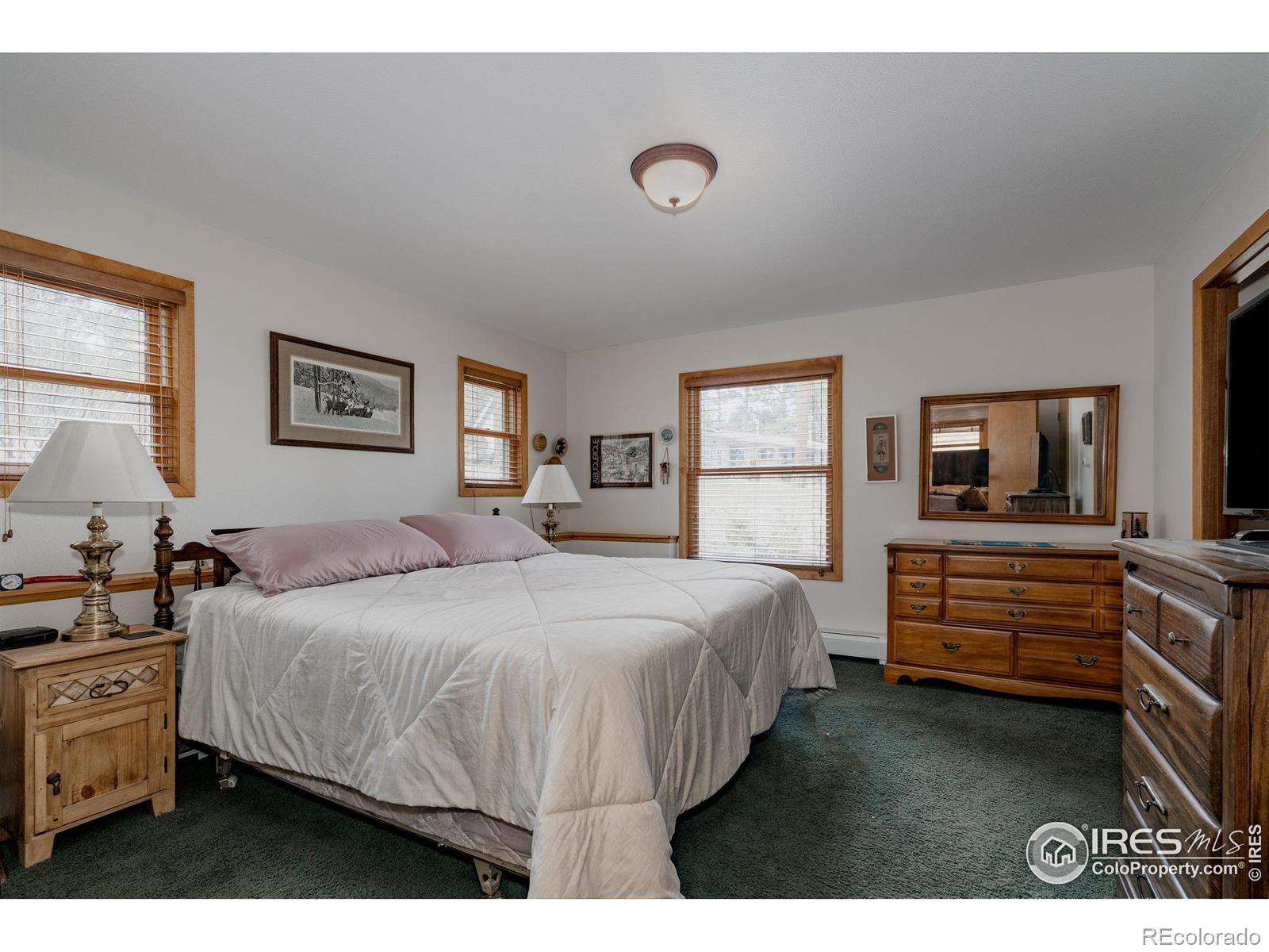 1026 Lexington Lane Estes Park CO 80517