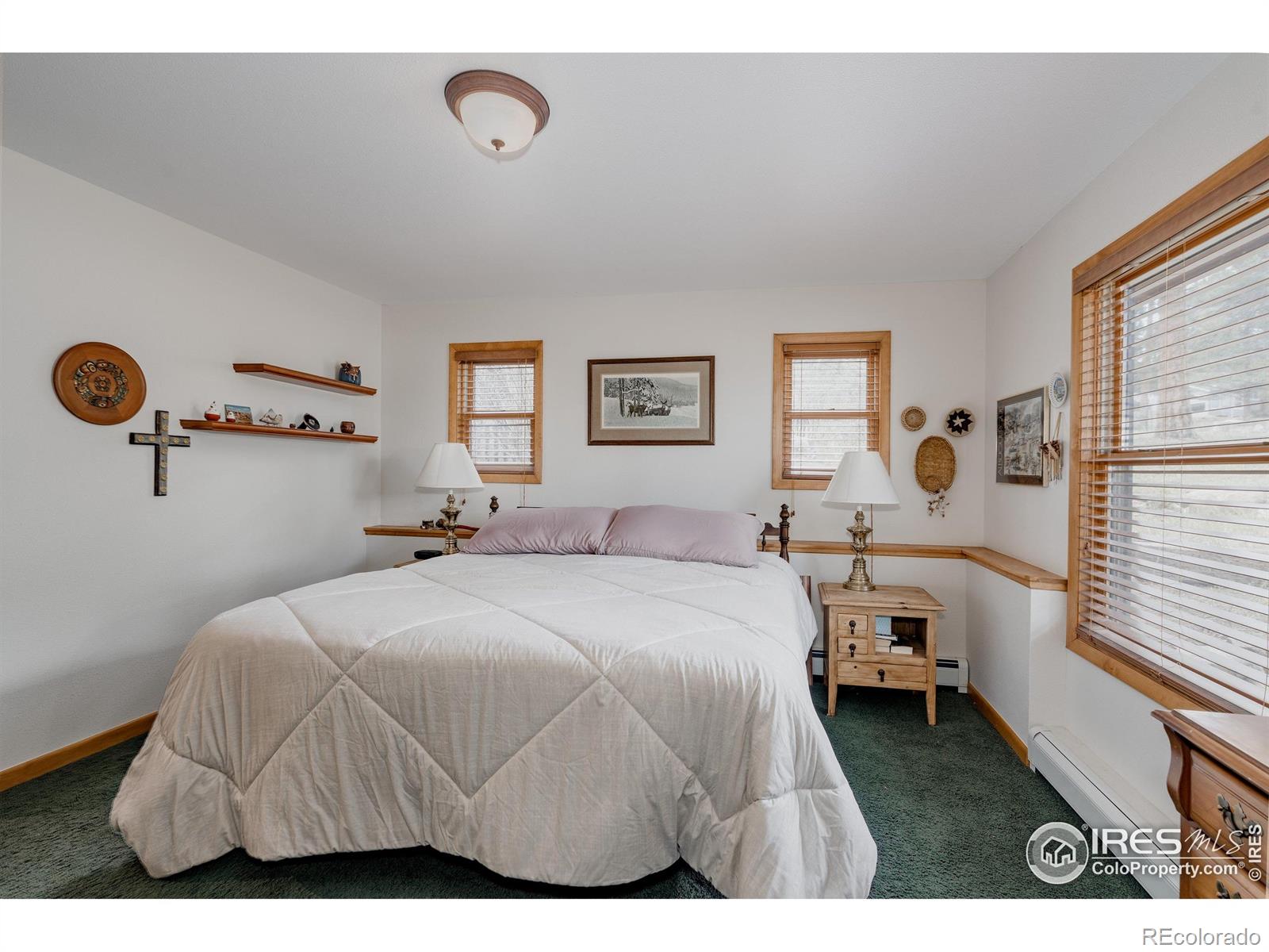 1026 Lexington Lane Estes Park CO 80517