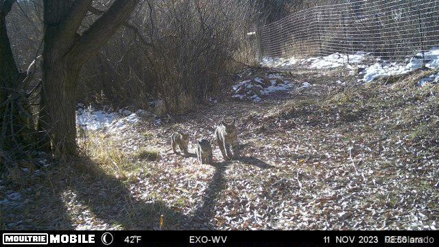 8225 W Us Highway 24 Cascade CO 80809
