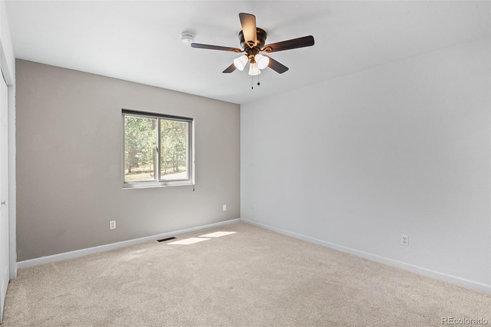 34431 Chilton Avenue Pine CO 80470