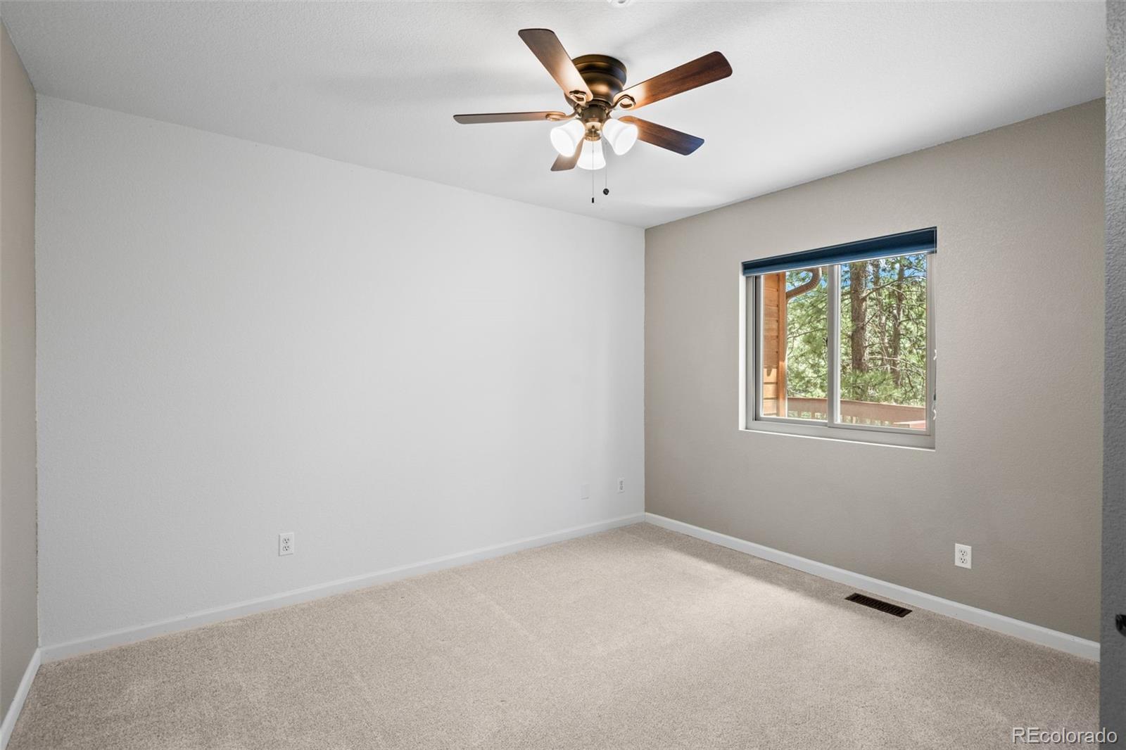 34431 Chilton Avenue Pine CO 80470