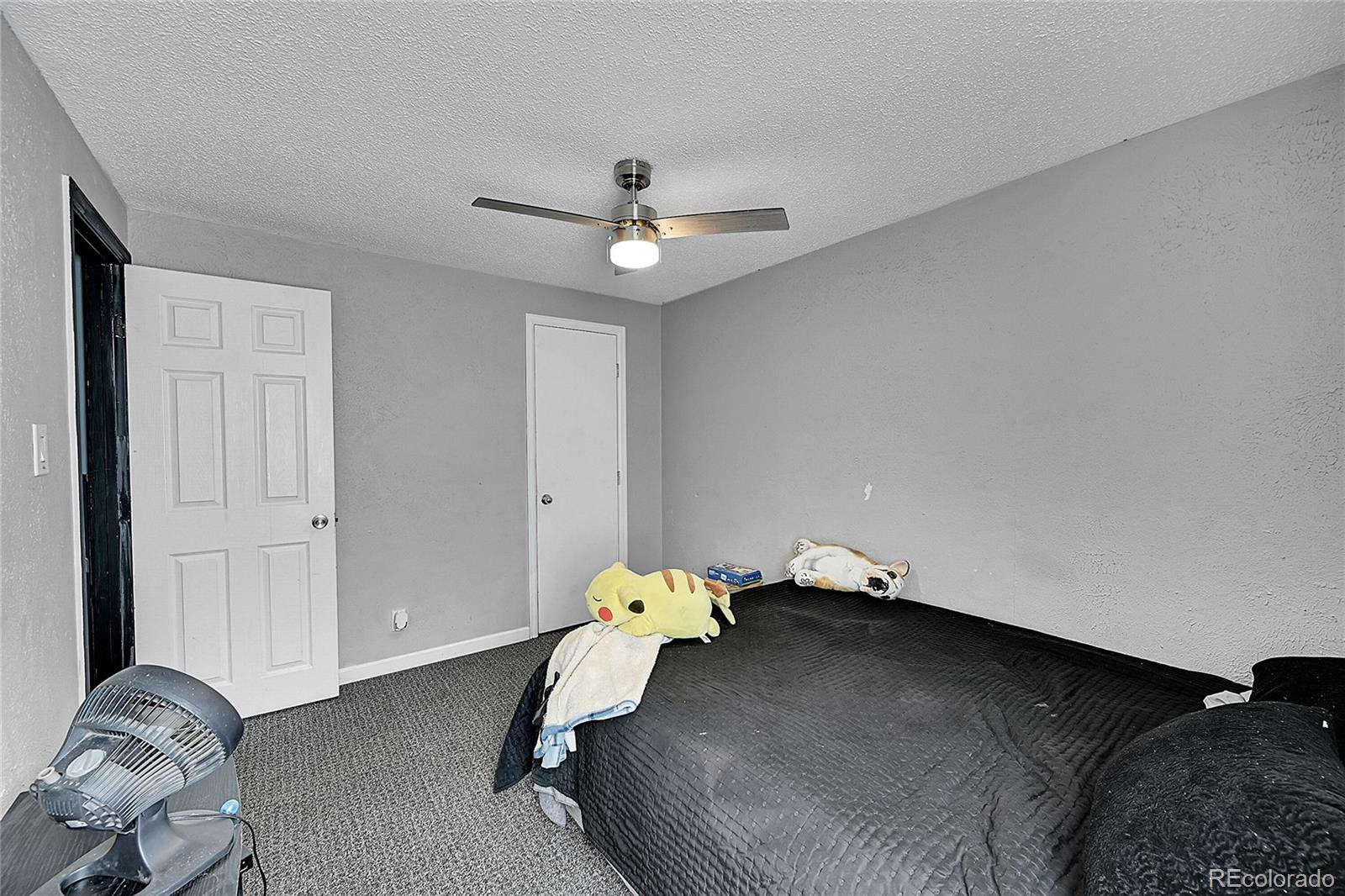 204 Zante Street Lochbuie CO 80603