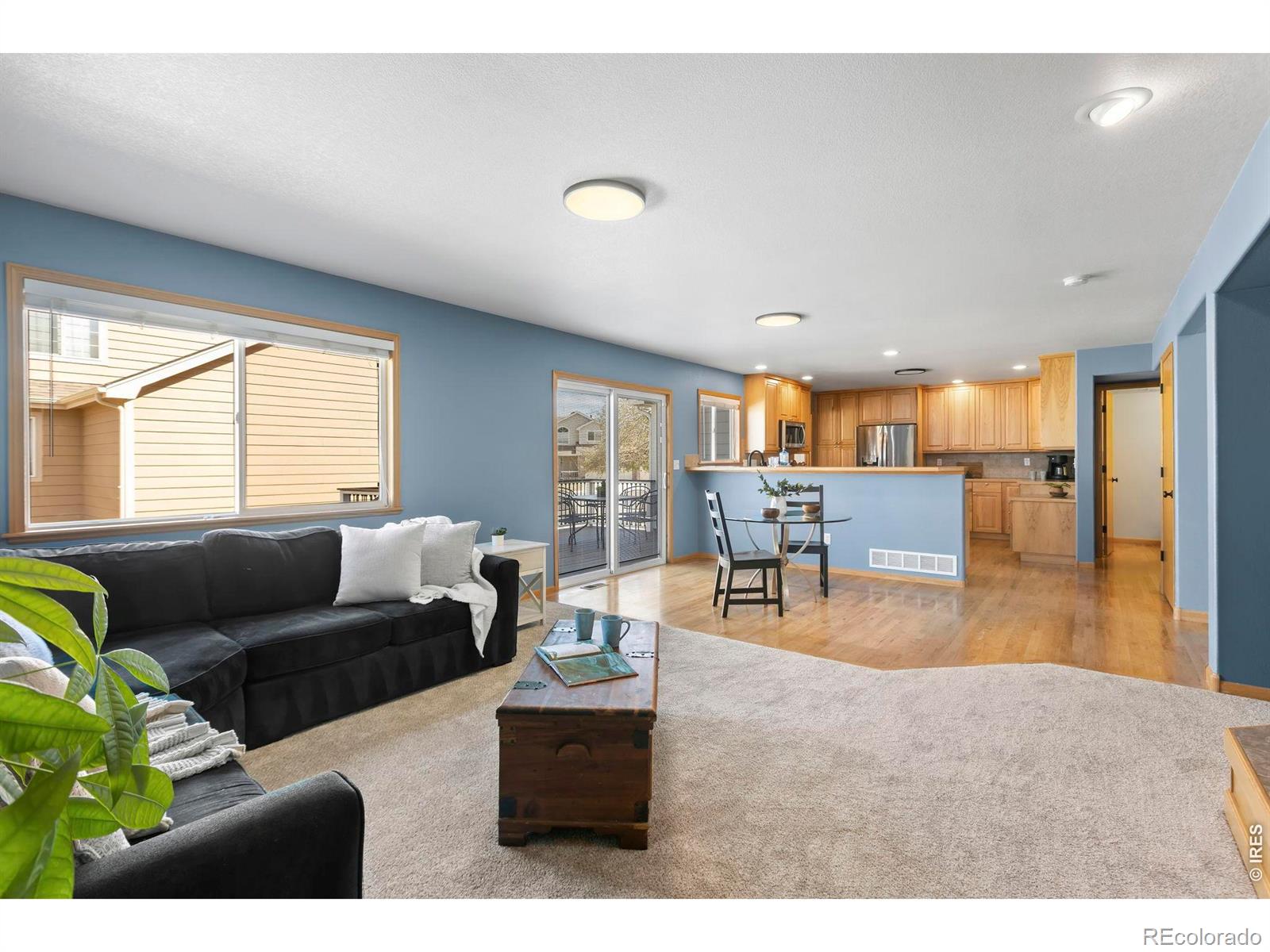 498 Marcellina Drive Loveland CO 80537