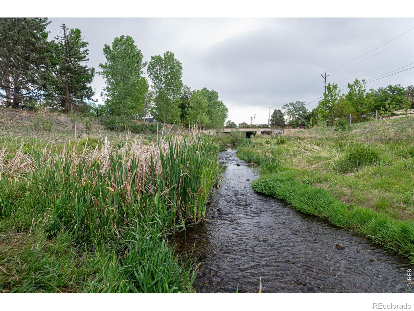 14 S Gay Drive Longmont CO 80501