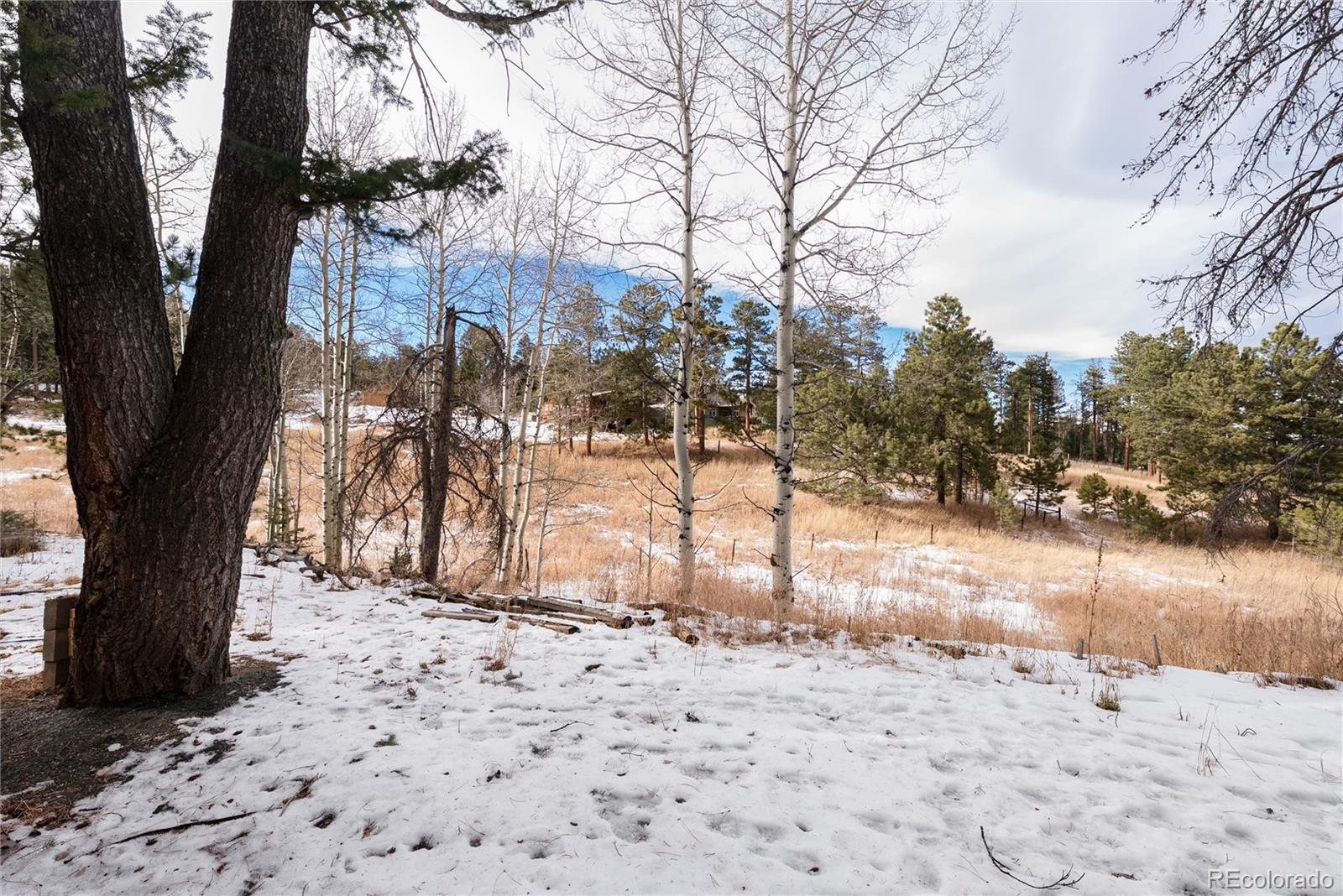 10783 Fox Trot Lane Conifer CO 80433