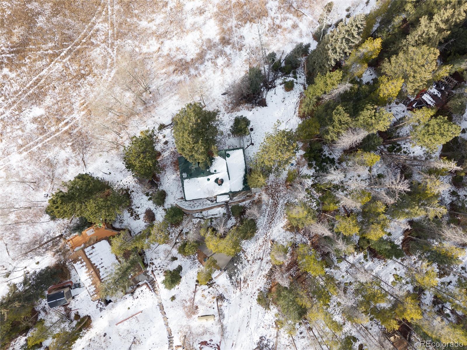 10783 Fox Trot Lane Conifer CO 80433