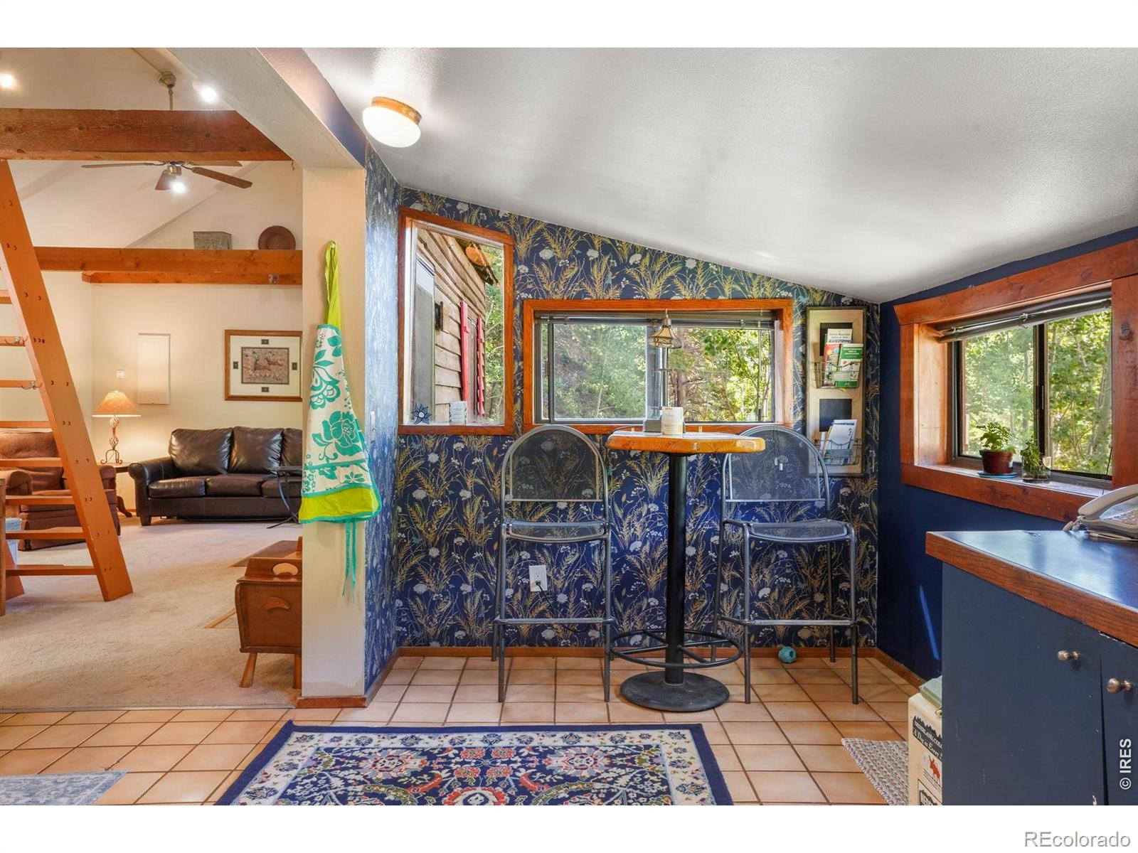1410 Caribou Road Nederland CO 80466