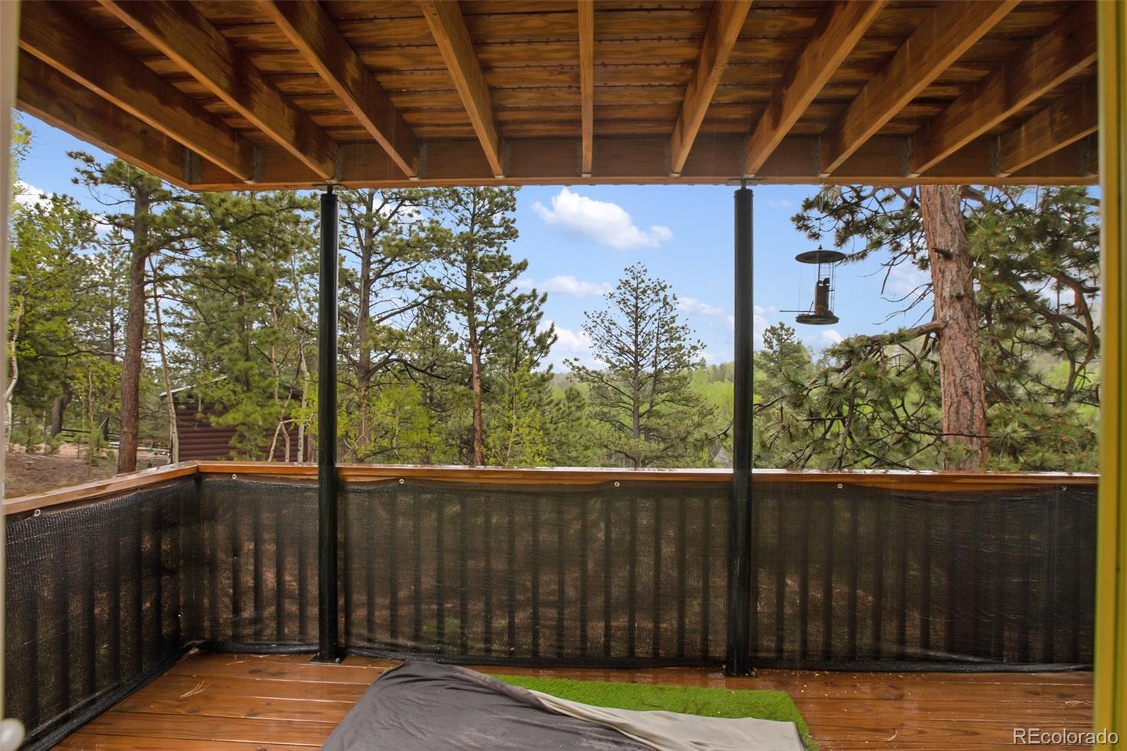 80 Potlatch Trail Woodland Park CO 80863
