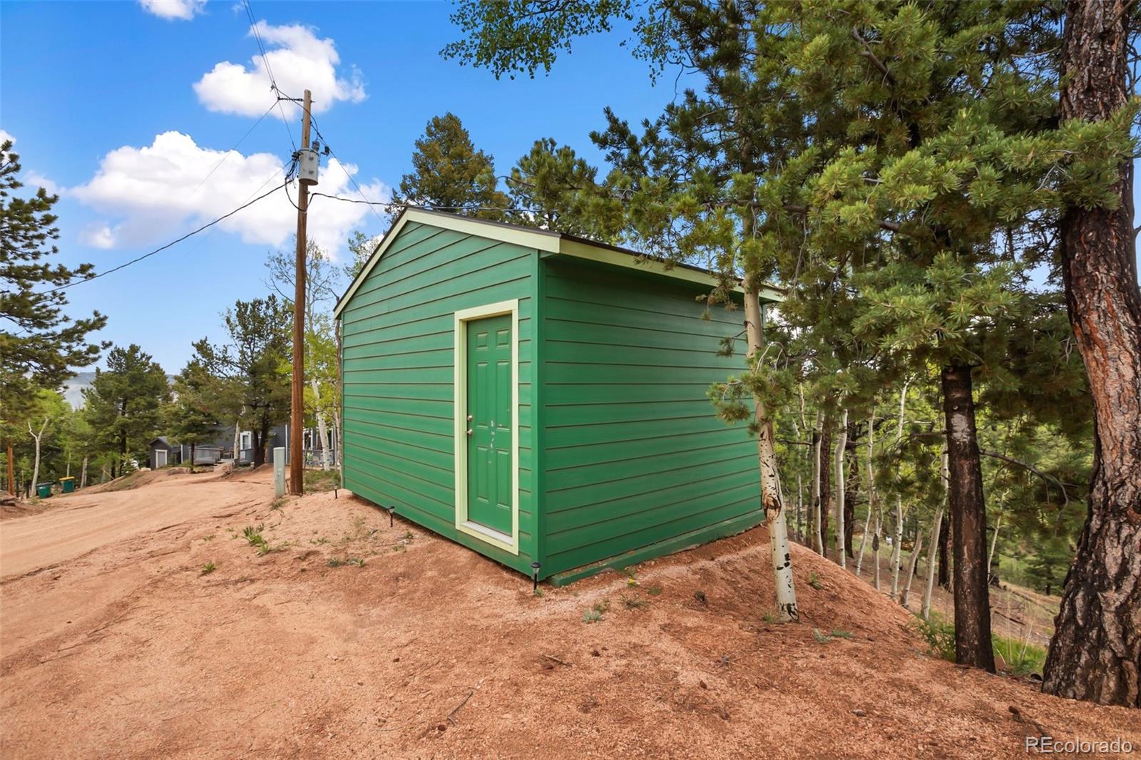 80 Potlatch Trail Woodland Park CO 80863