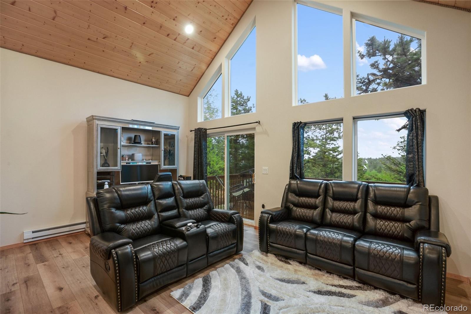 80 Potlatch Trail Woodland Park CO 80863