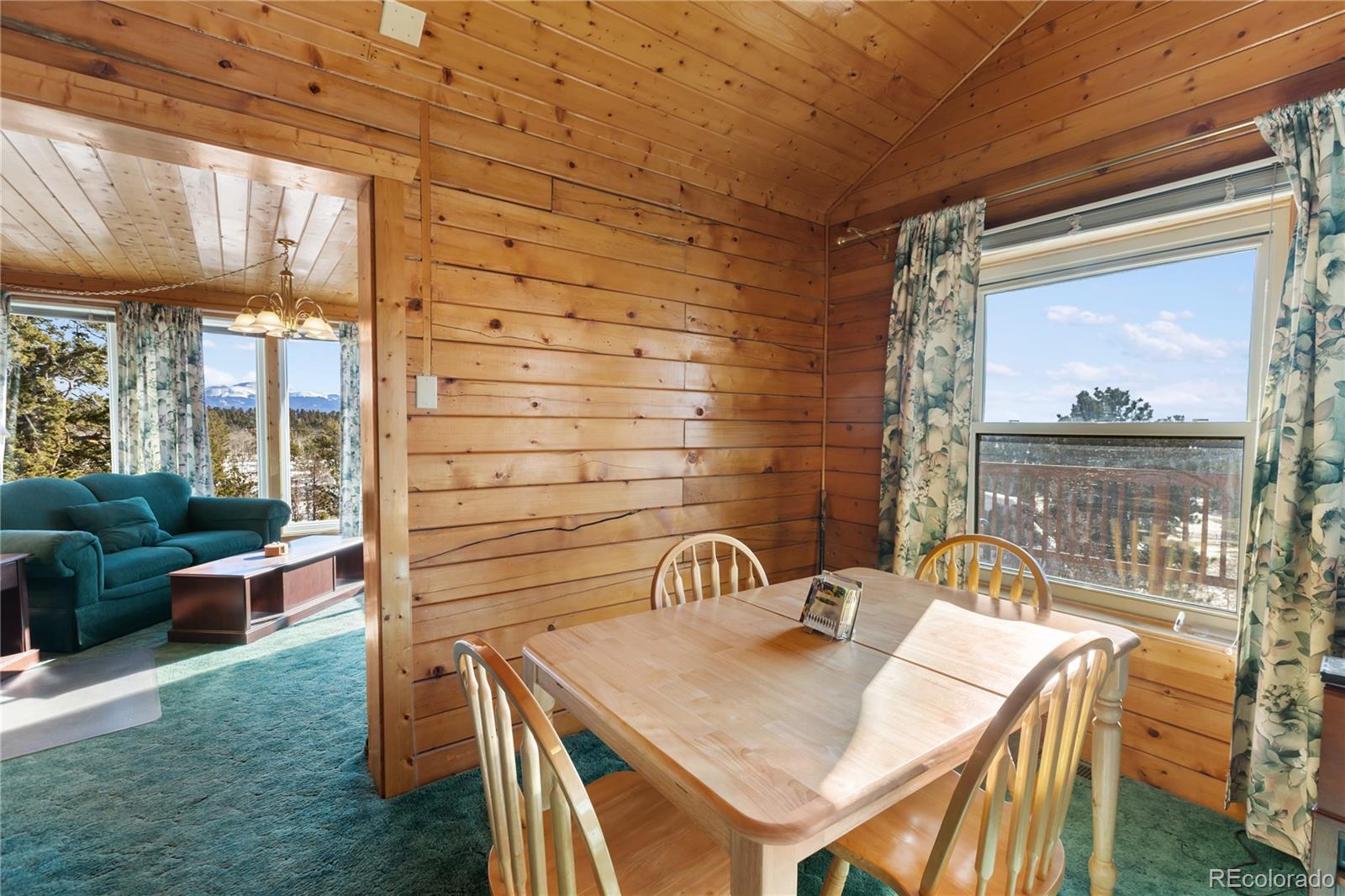 730 Cheyenne Creek Lake George CO 80827