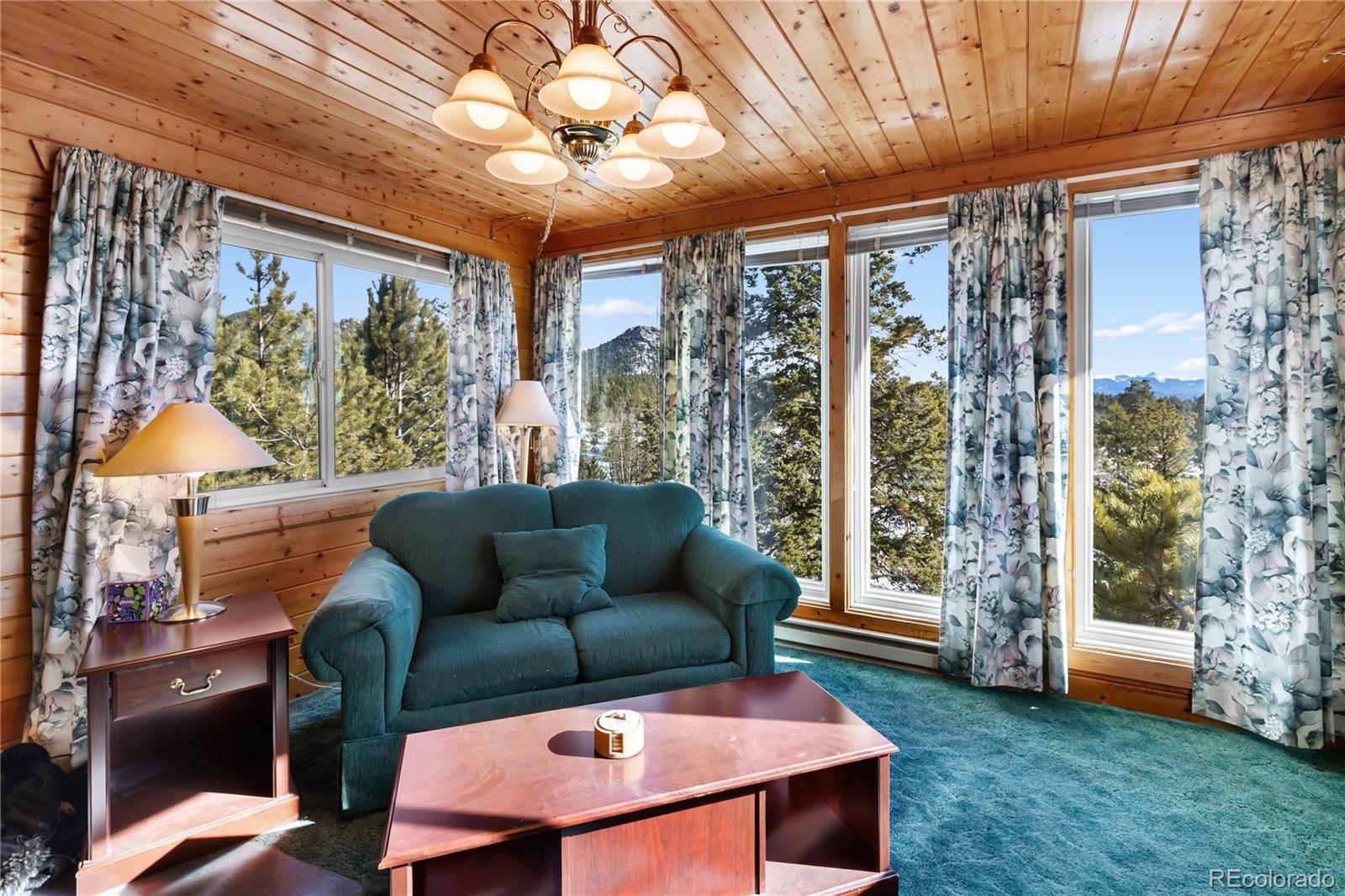 730 Cheyenne Creek Lake George CO 80827