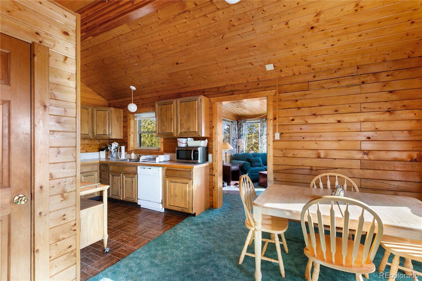 730 Cheyenne Creek Lake George CO 80827