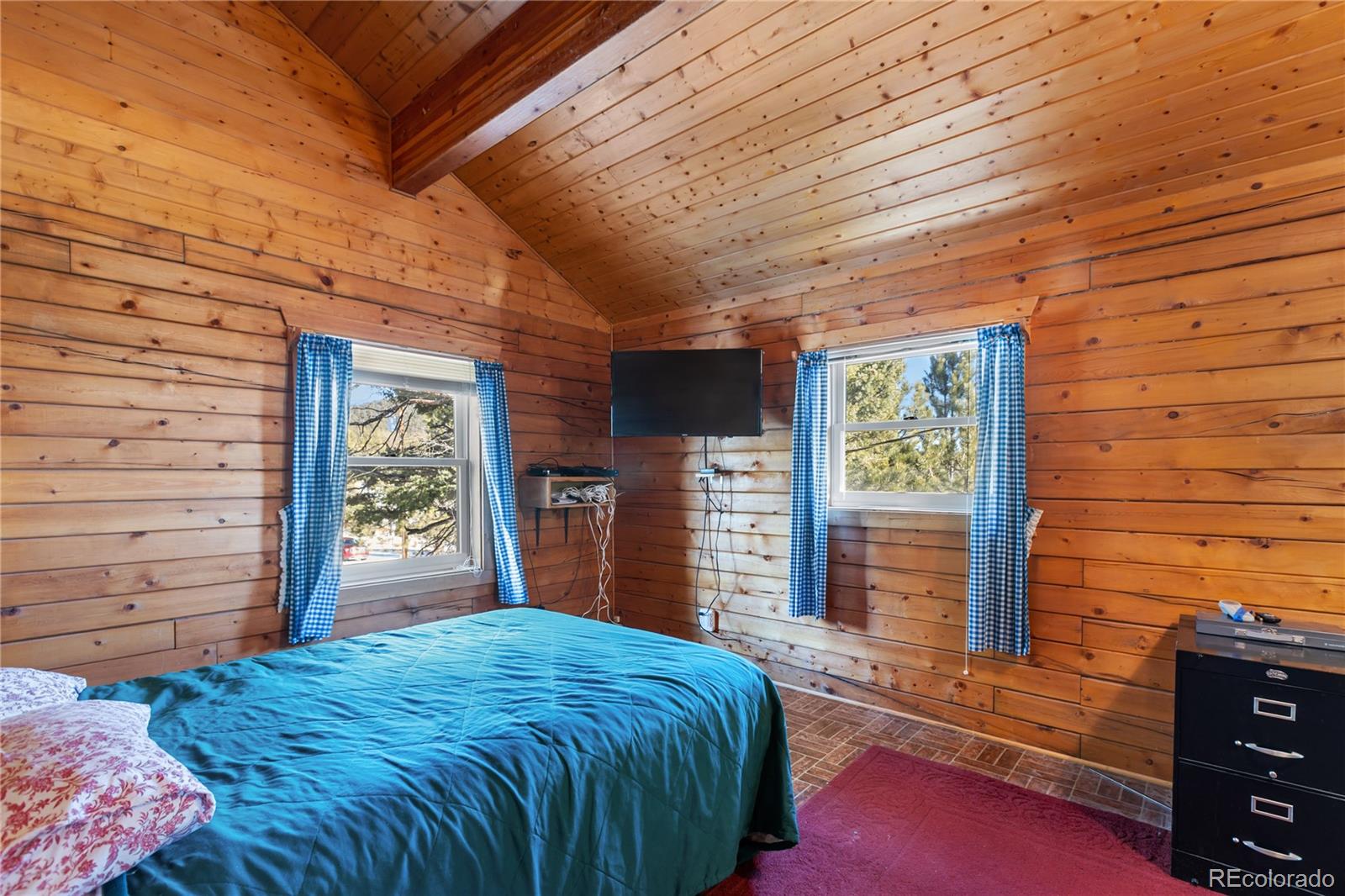 730 Cheyenne Creek Lake George CO 80827