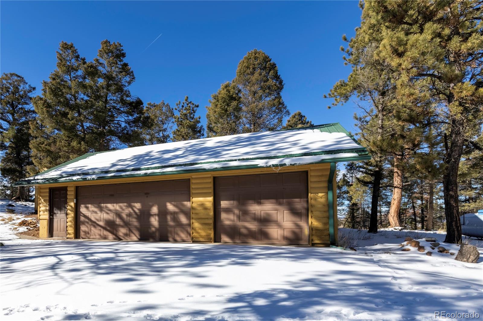 730 Cheyenne Creek Lake George CO 80827
