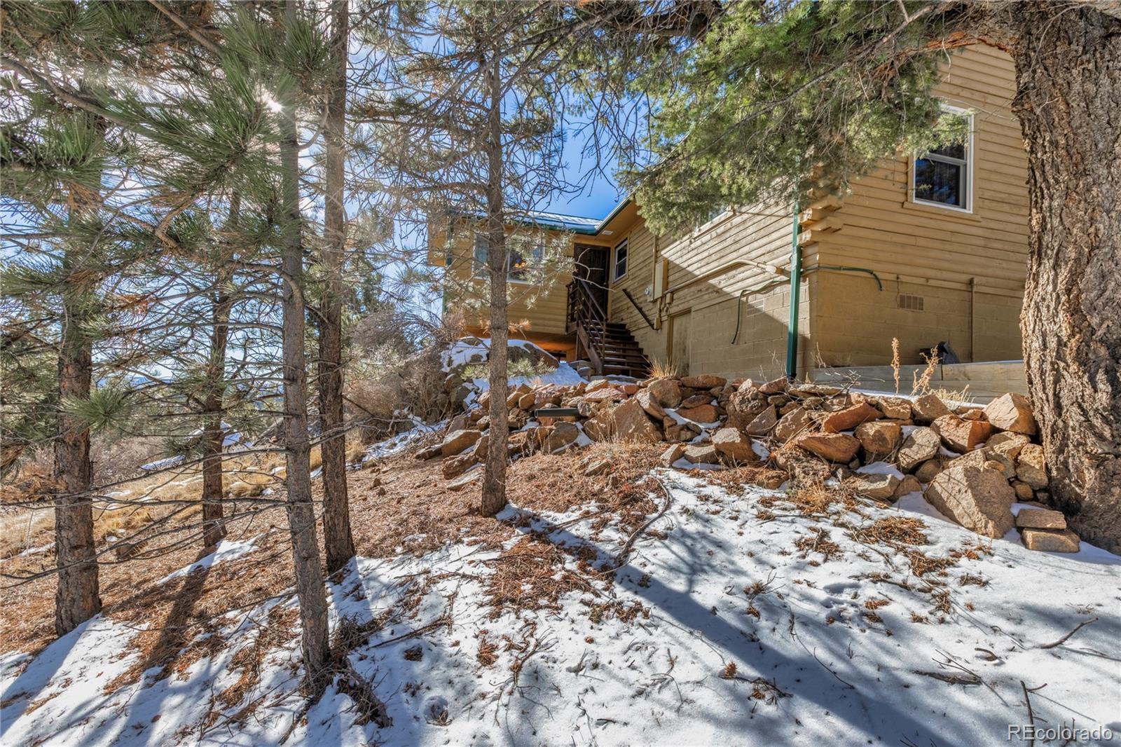 730 Cheyenne Creek Lake George CO 80827