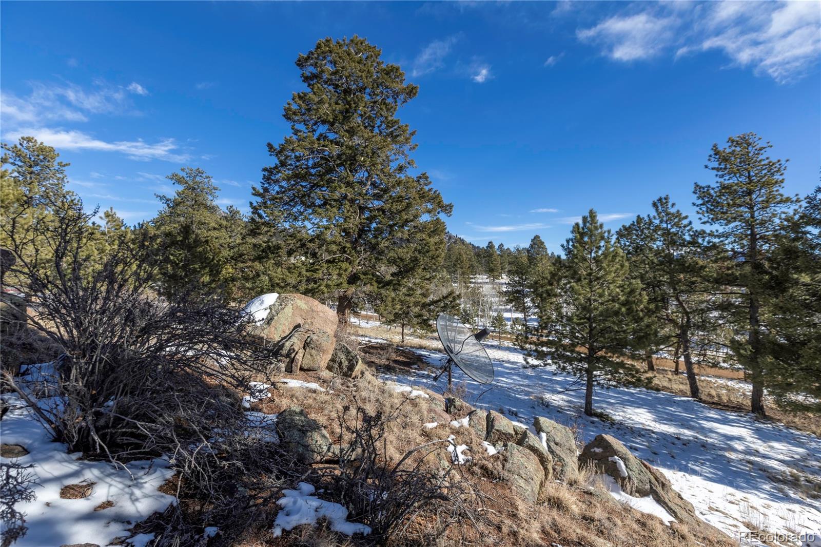 730 Cheyenne Creek Lake George CO 80827