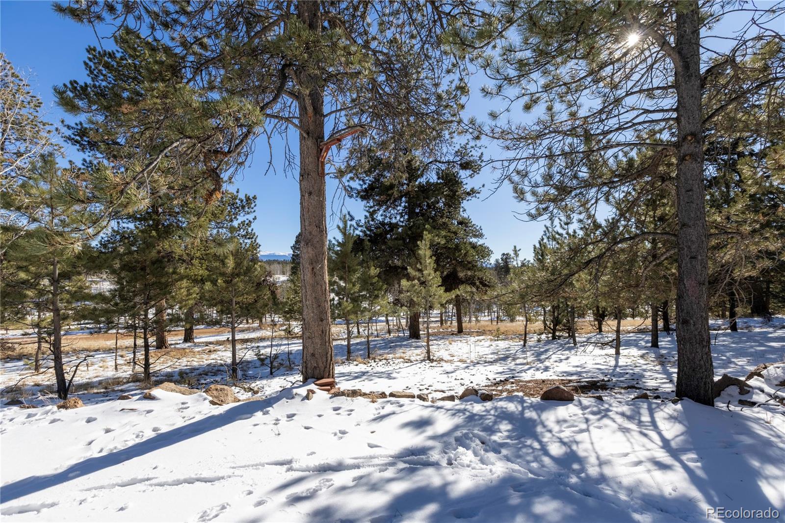 730 Cheyenne Creek Lake George CO 80827