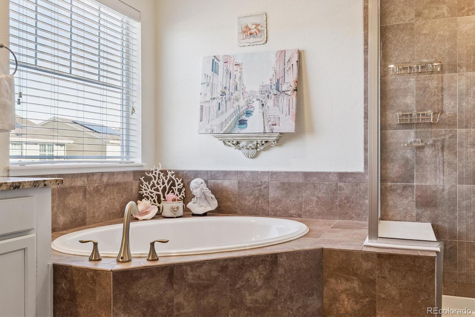 14938 Vienna Circle Parker CO 80134