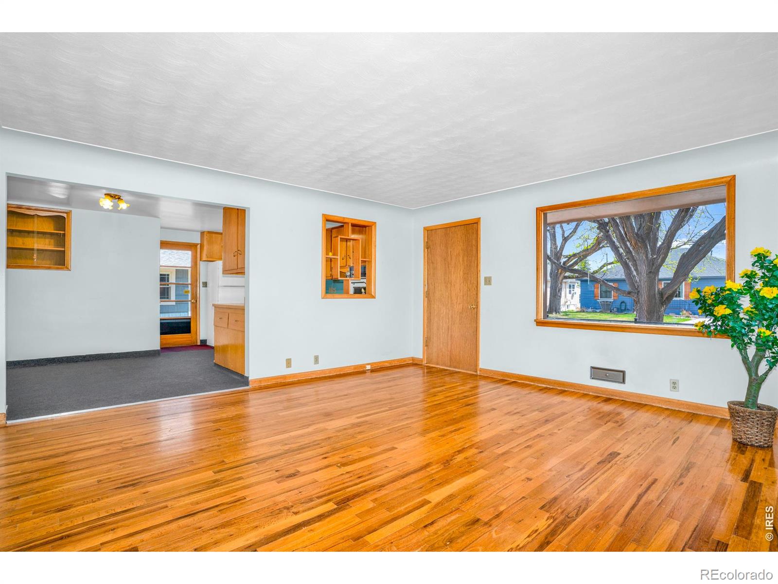 543 W 9th Street Loveland CO 80537