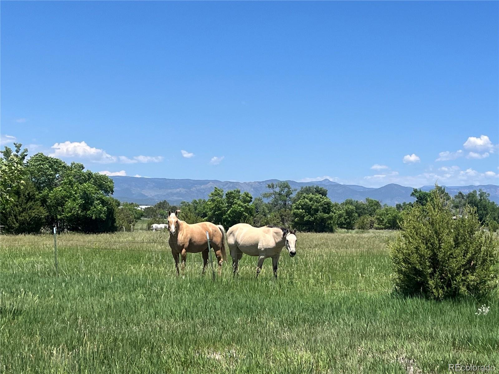 988 P Street Penrose CO 81240