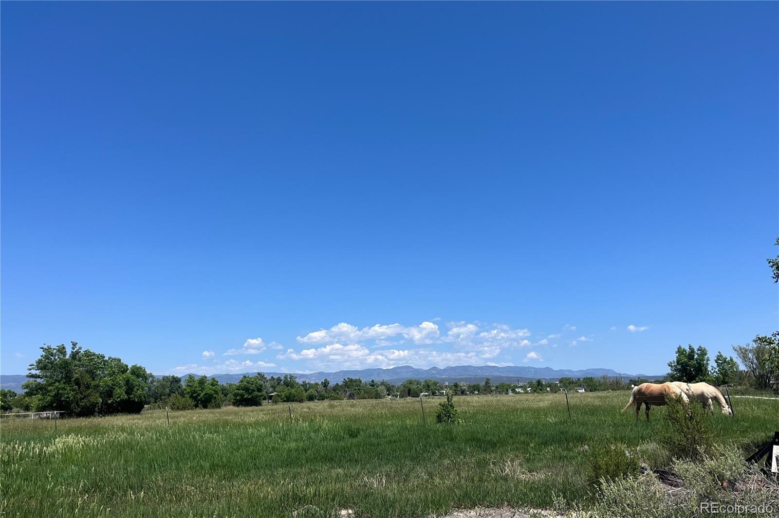 988 P Street Penrose CO 81240