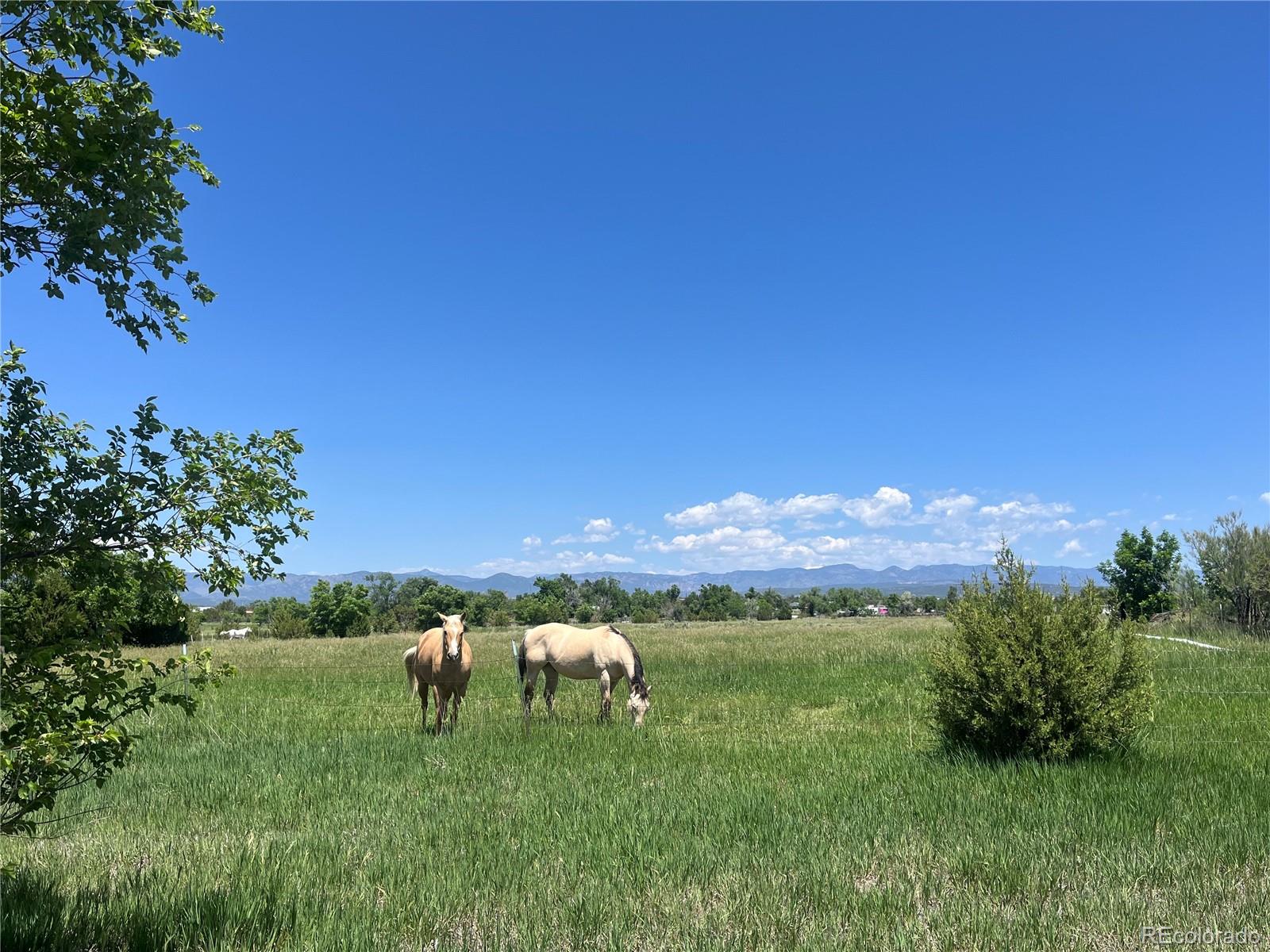 988 P Street Penrose CO 81240