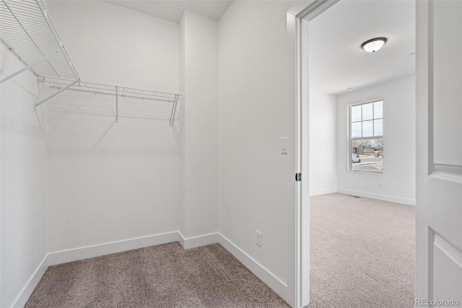 1151 Mourning Dove Avenue Erie CO 80516