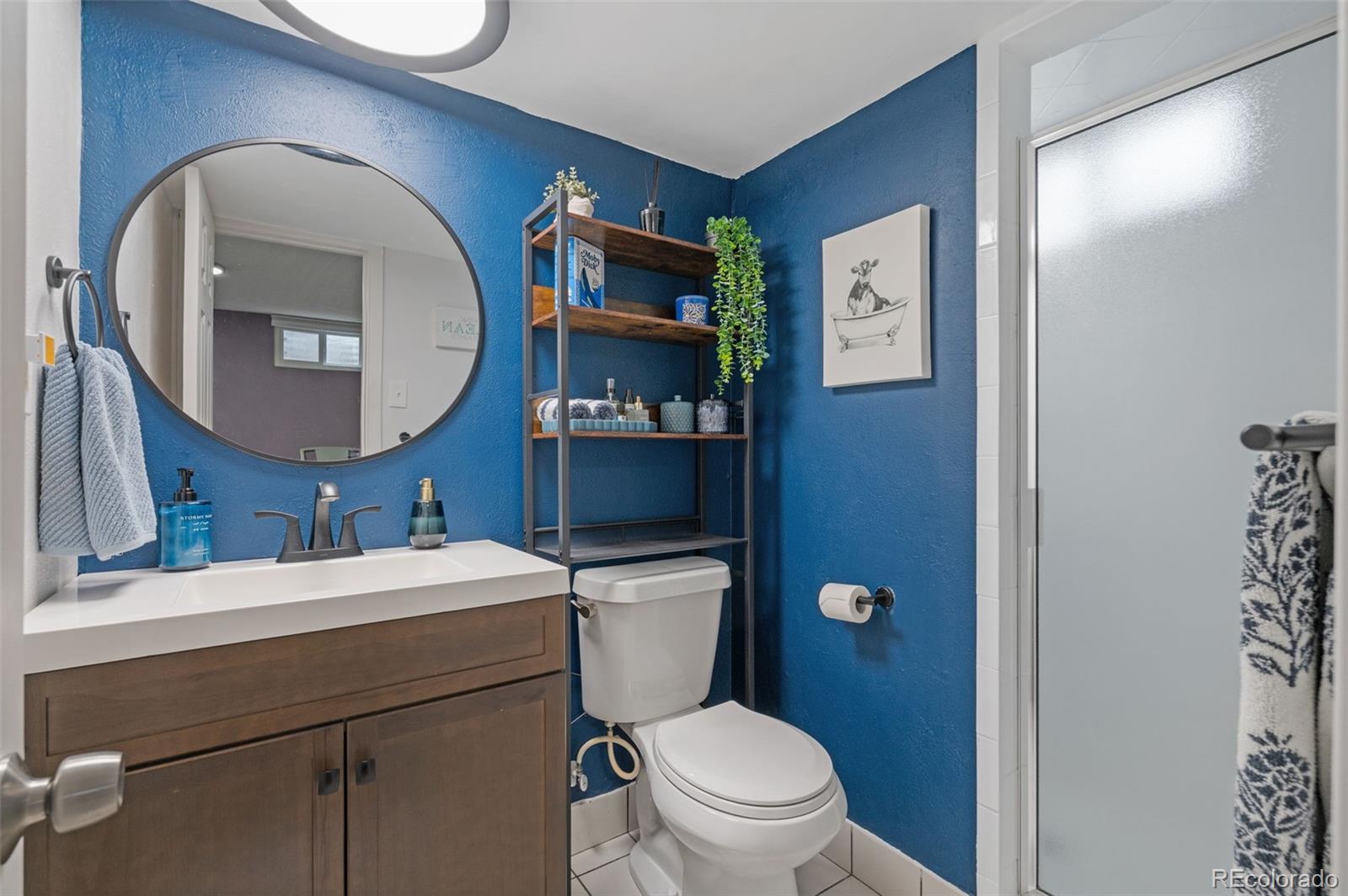 2962 S Webster Street Denver CO 80227