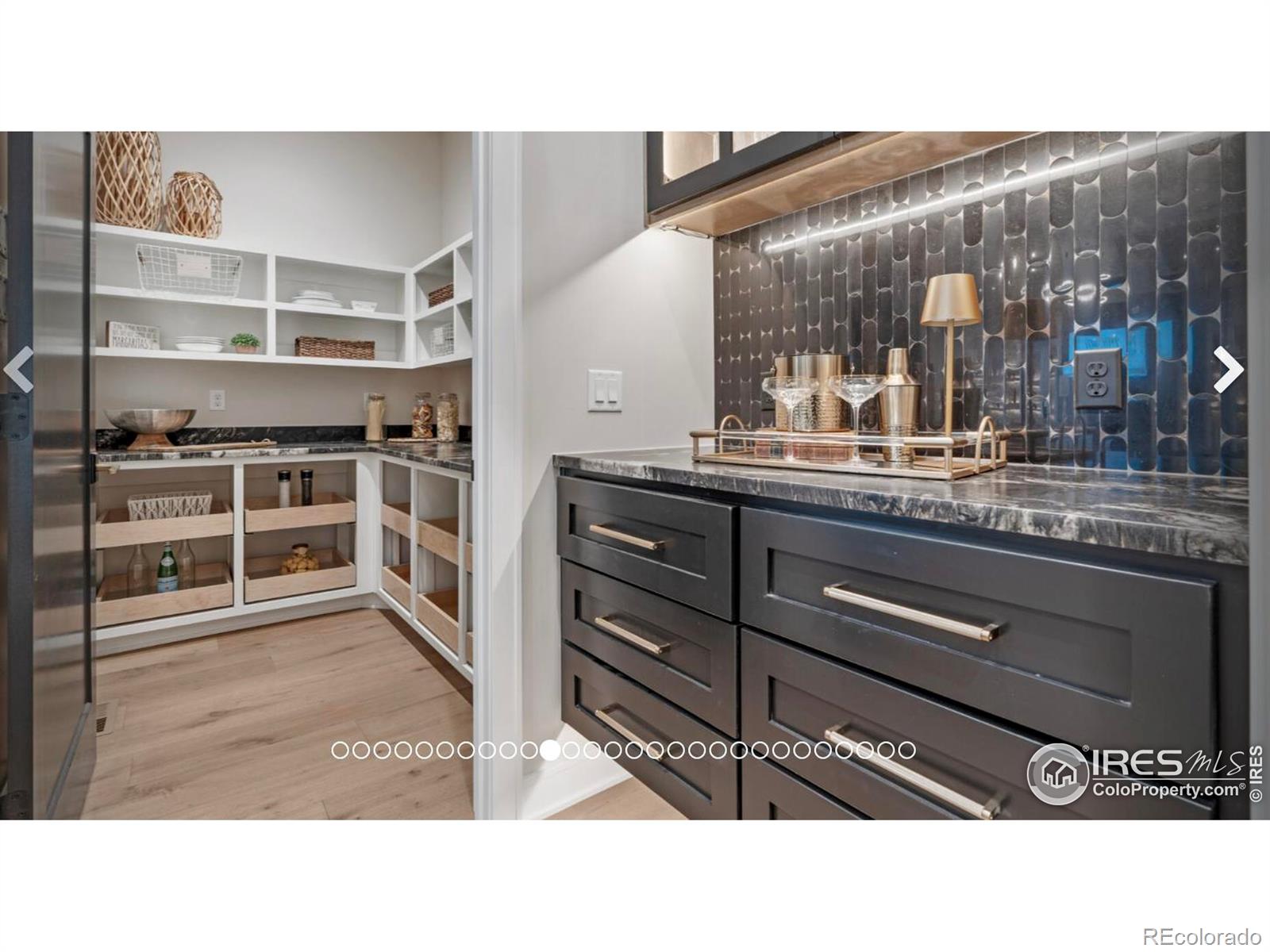 3806 Bridle Ridge Circle Severance CO 80524