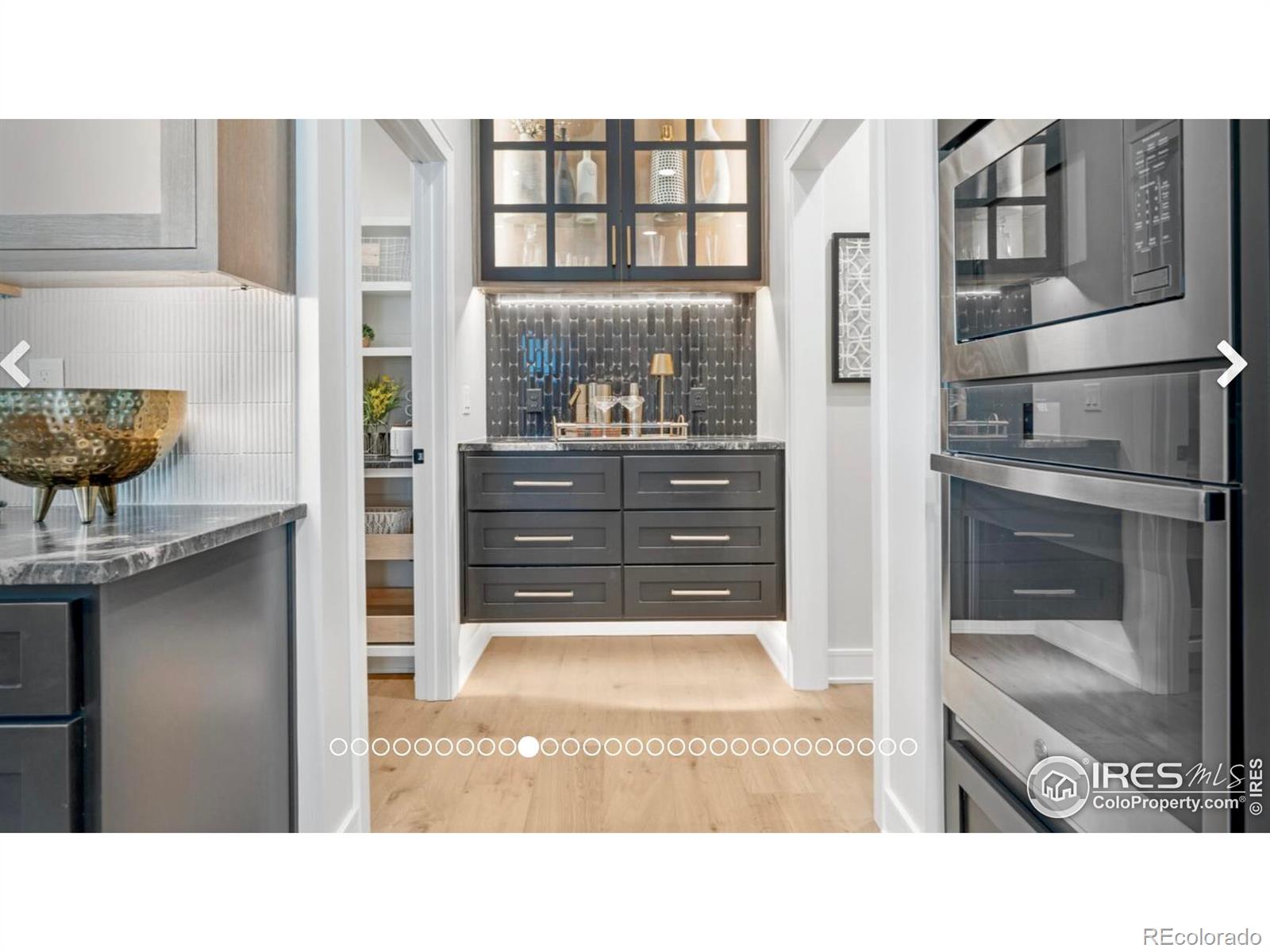 3806 Bridle Ridge Circle Severance CO 80524