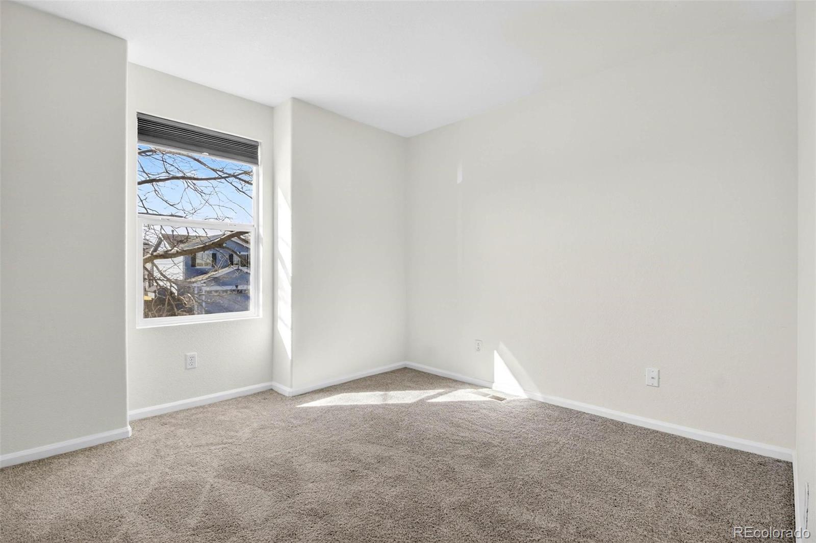 10699 Butte Drive Longmont CO 80504