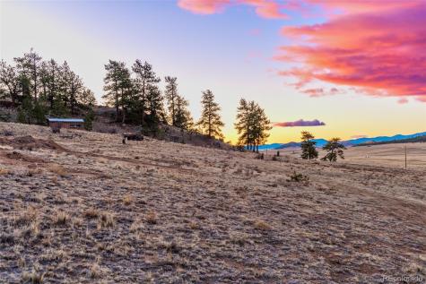 189 Goldenburg Canyon Road Hartsel CO 80449