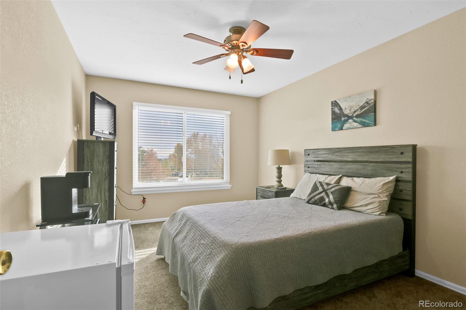 8755 Turnbridge Place Colorado Springs CO 80920