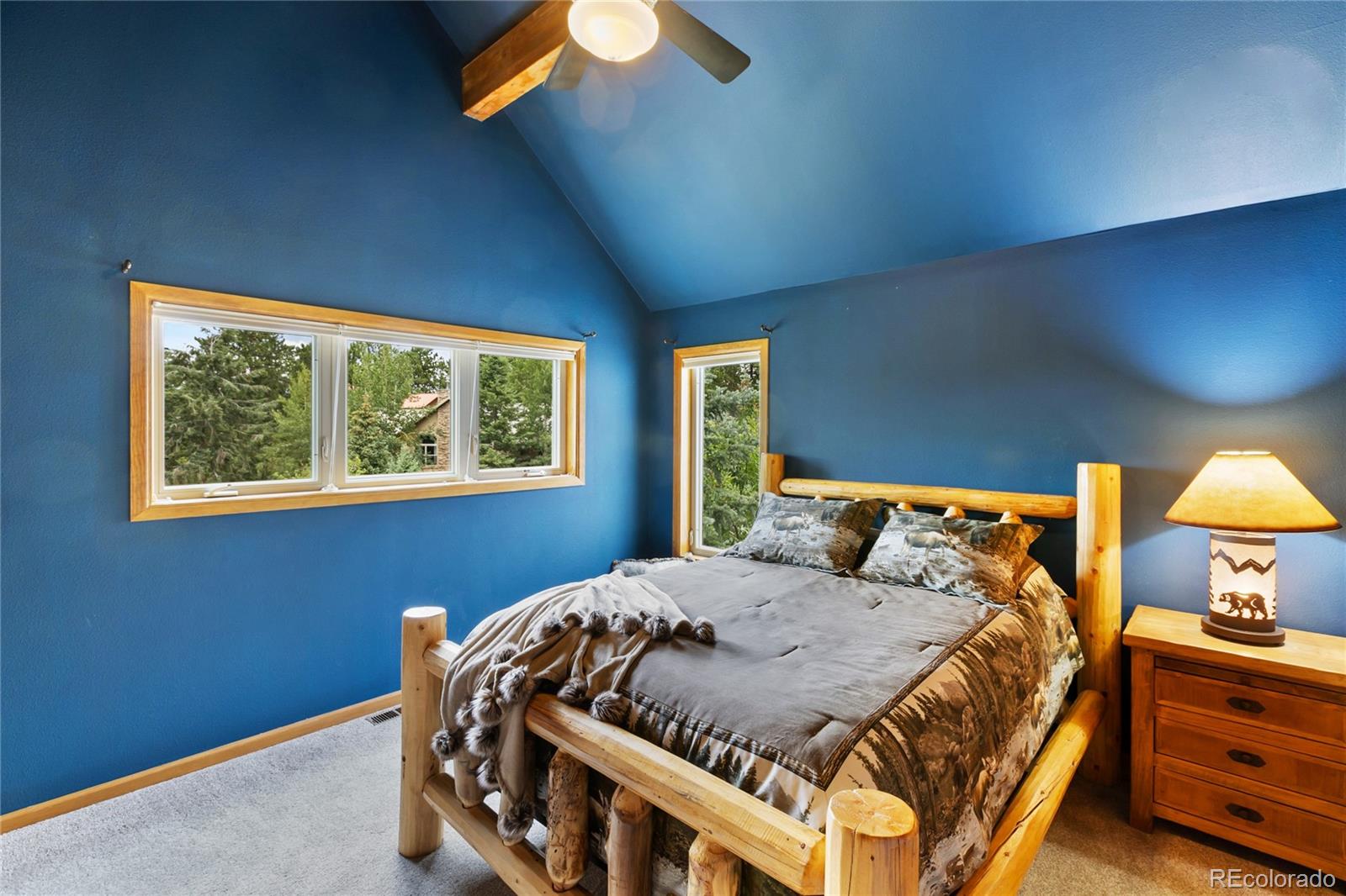 591 Skyline Drive Woodland Park CO 80863