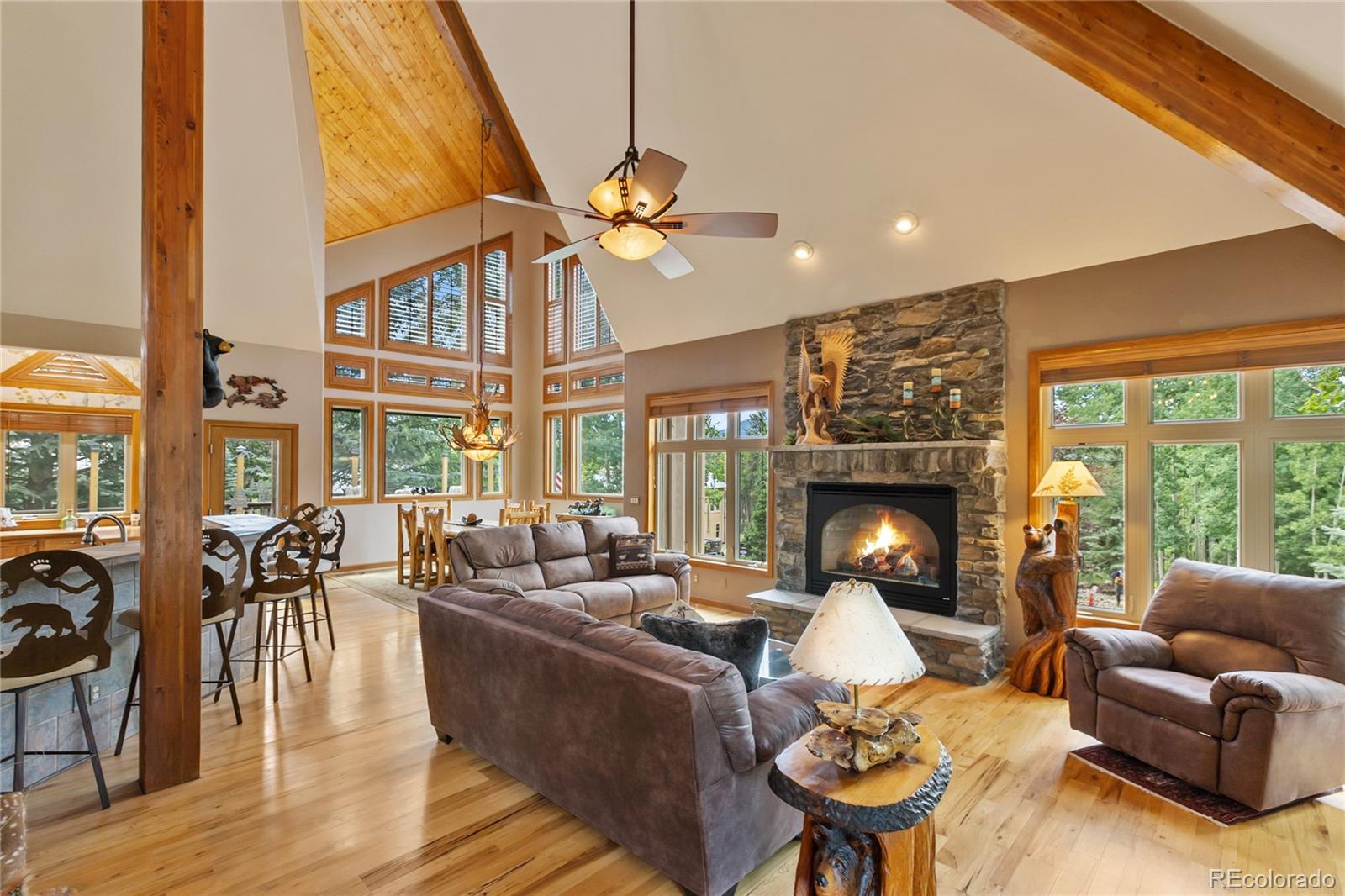 591 Skyline Drive Woodland Park CO 80863