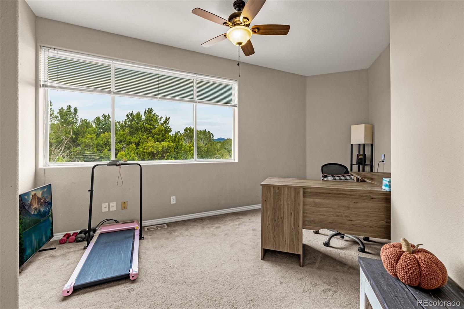 3115 Canyon Heights Road Pueblo CO 81005