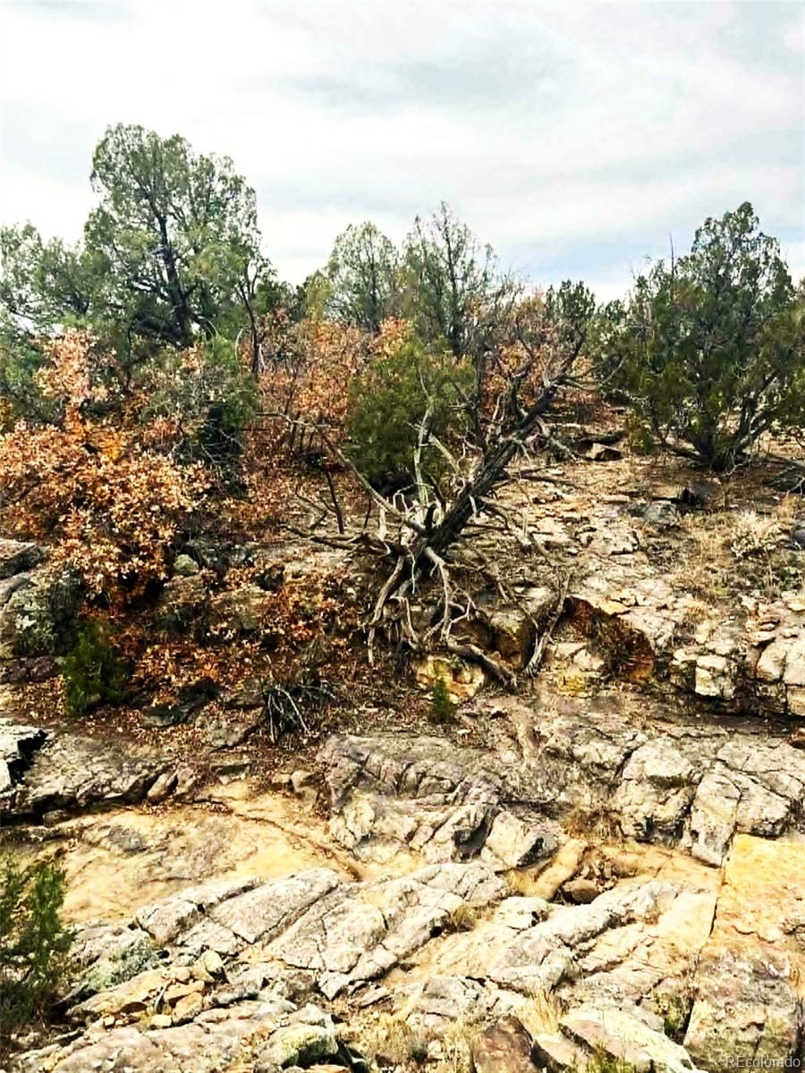 3115 Canyon Heights Road Pueblo CO 81005