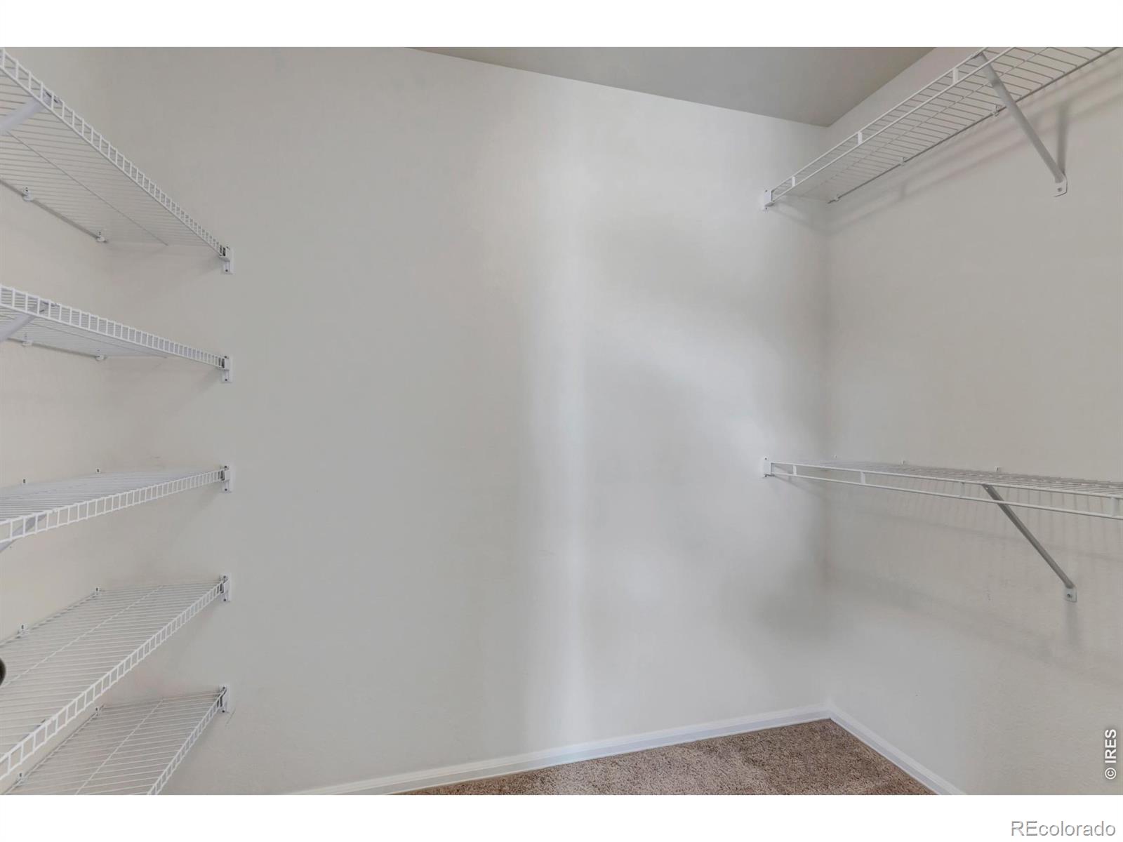 945 Maplebrook Drive Windsor CO 80550