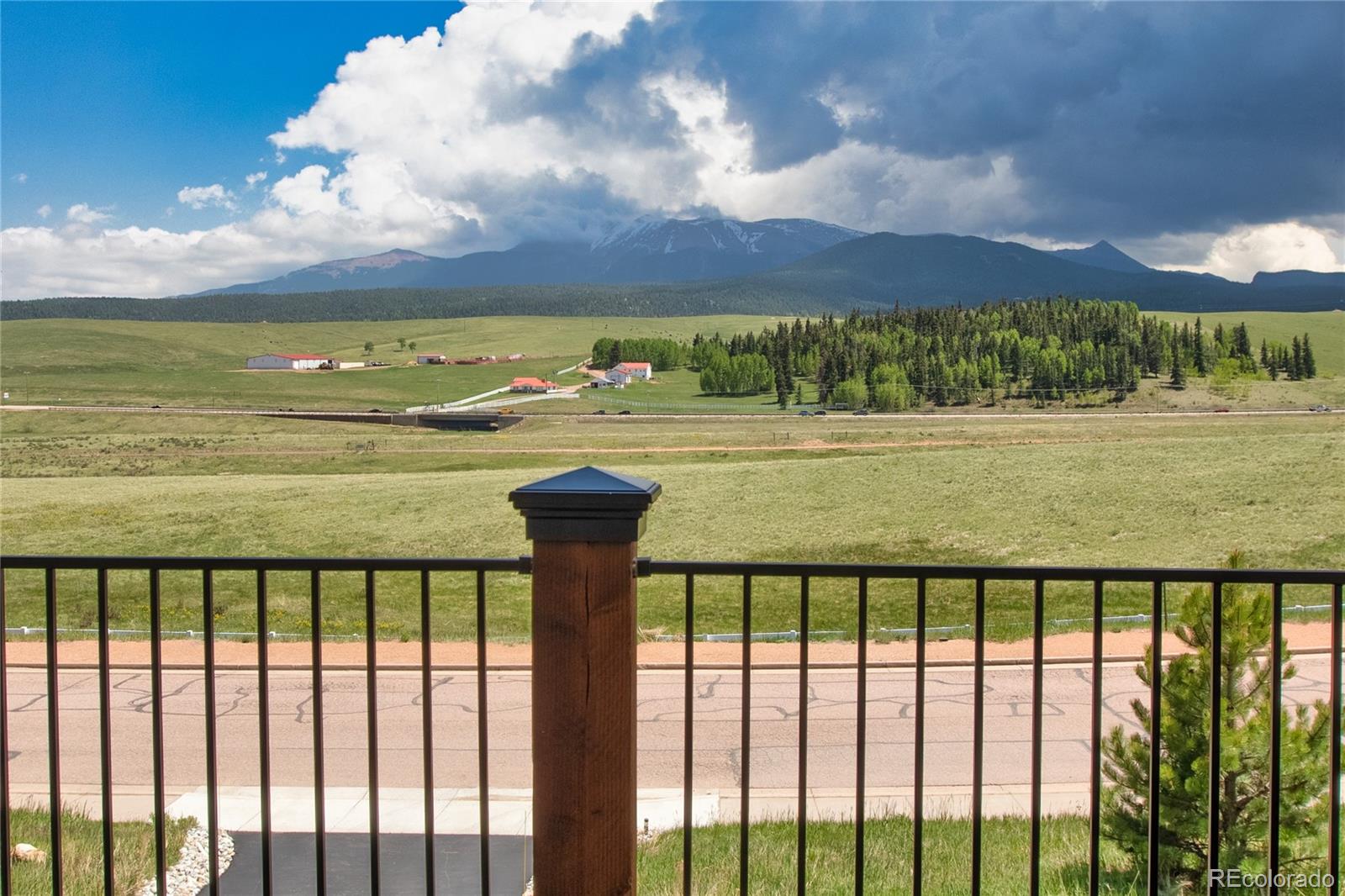 407 Meadow Park Drive Divide CO 80814