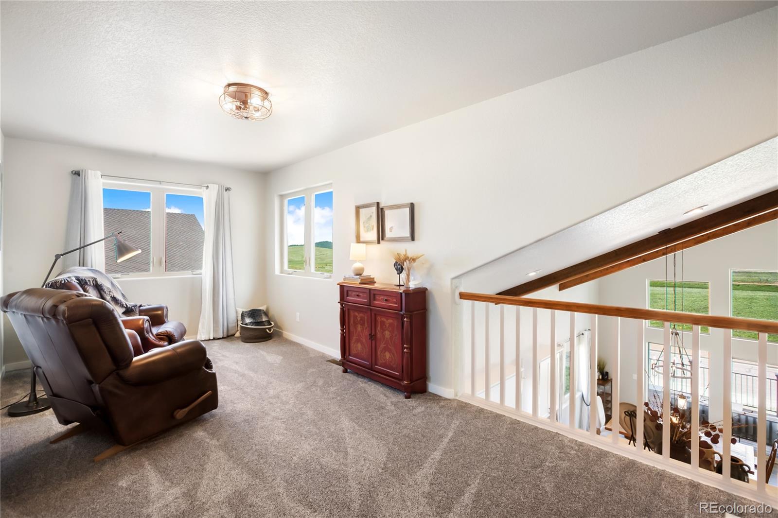 407 Meadow Park Drive Divide CO 80814