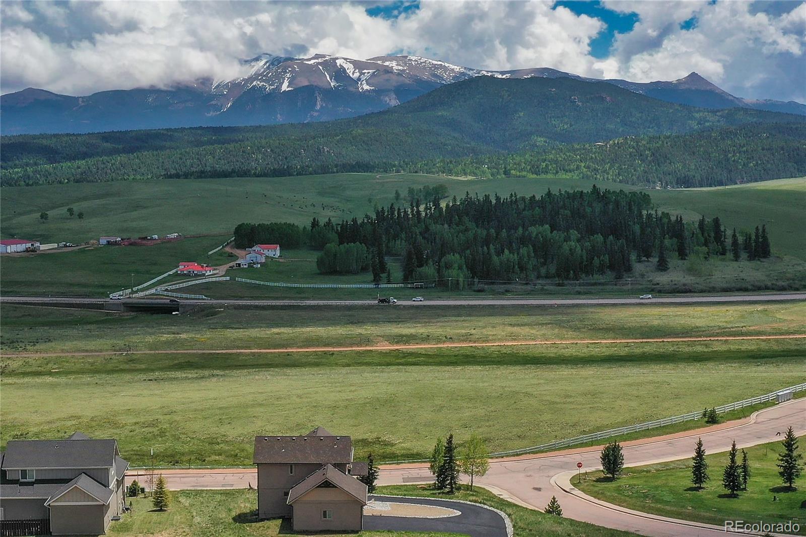 407 Meadow Park Drive Divide CO 80814