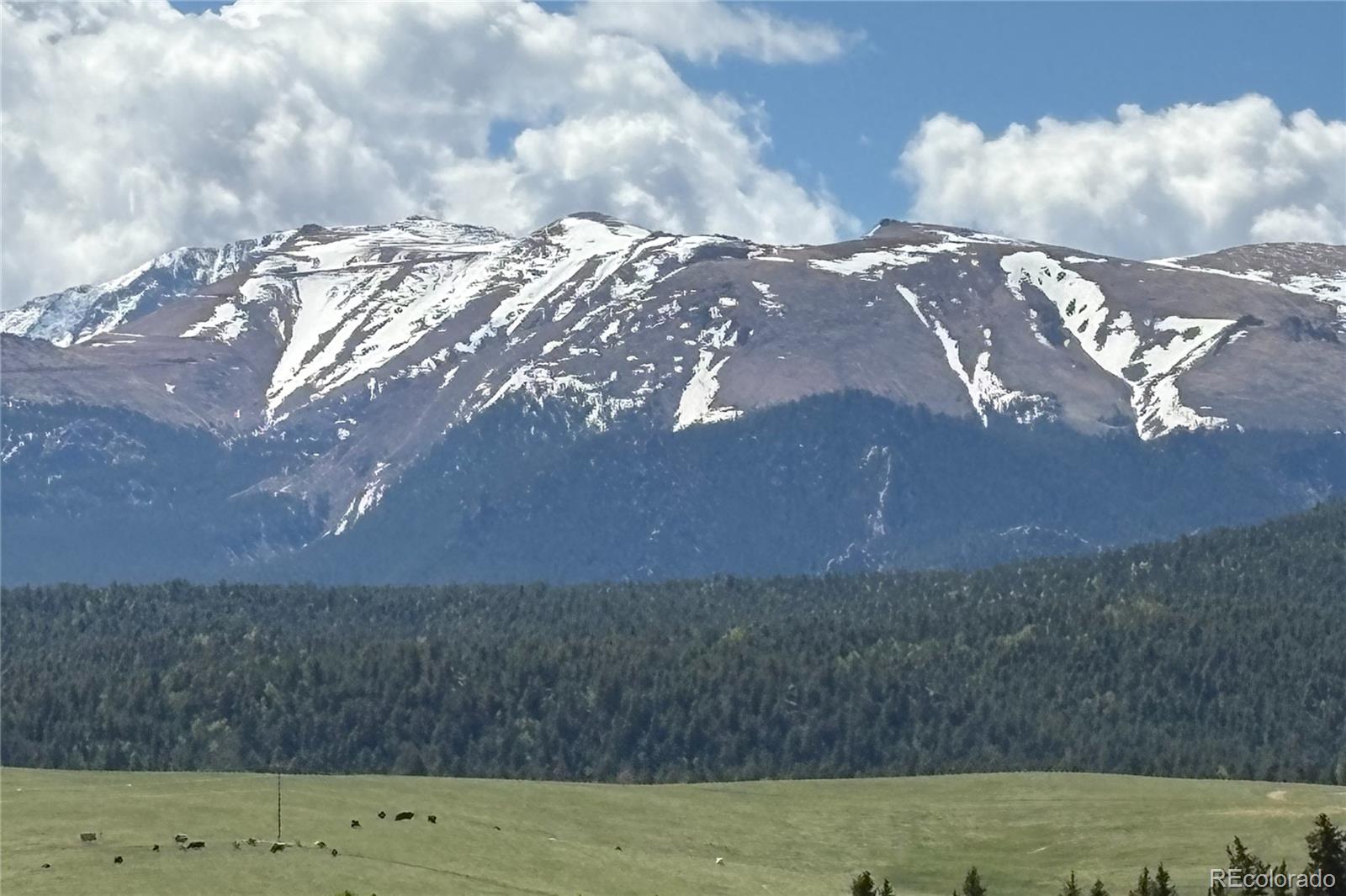 407 Meadow Park Drive Divide CO 80814