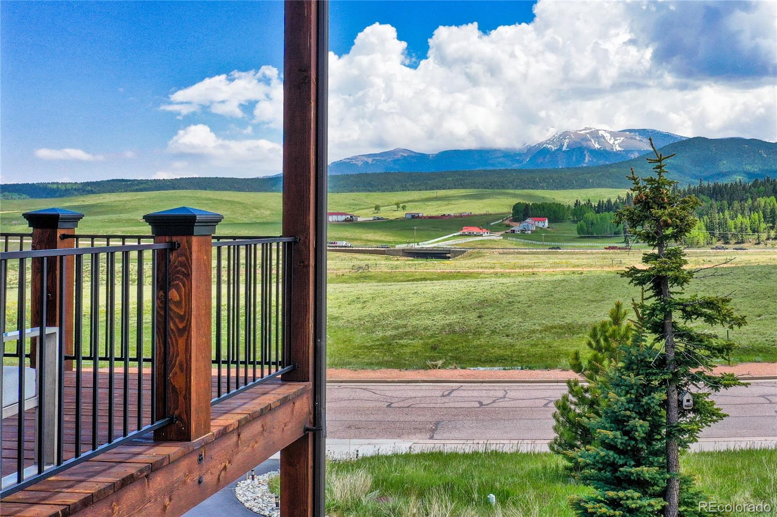 407 Meadow Park Drive Divide CO 80814
