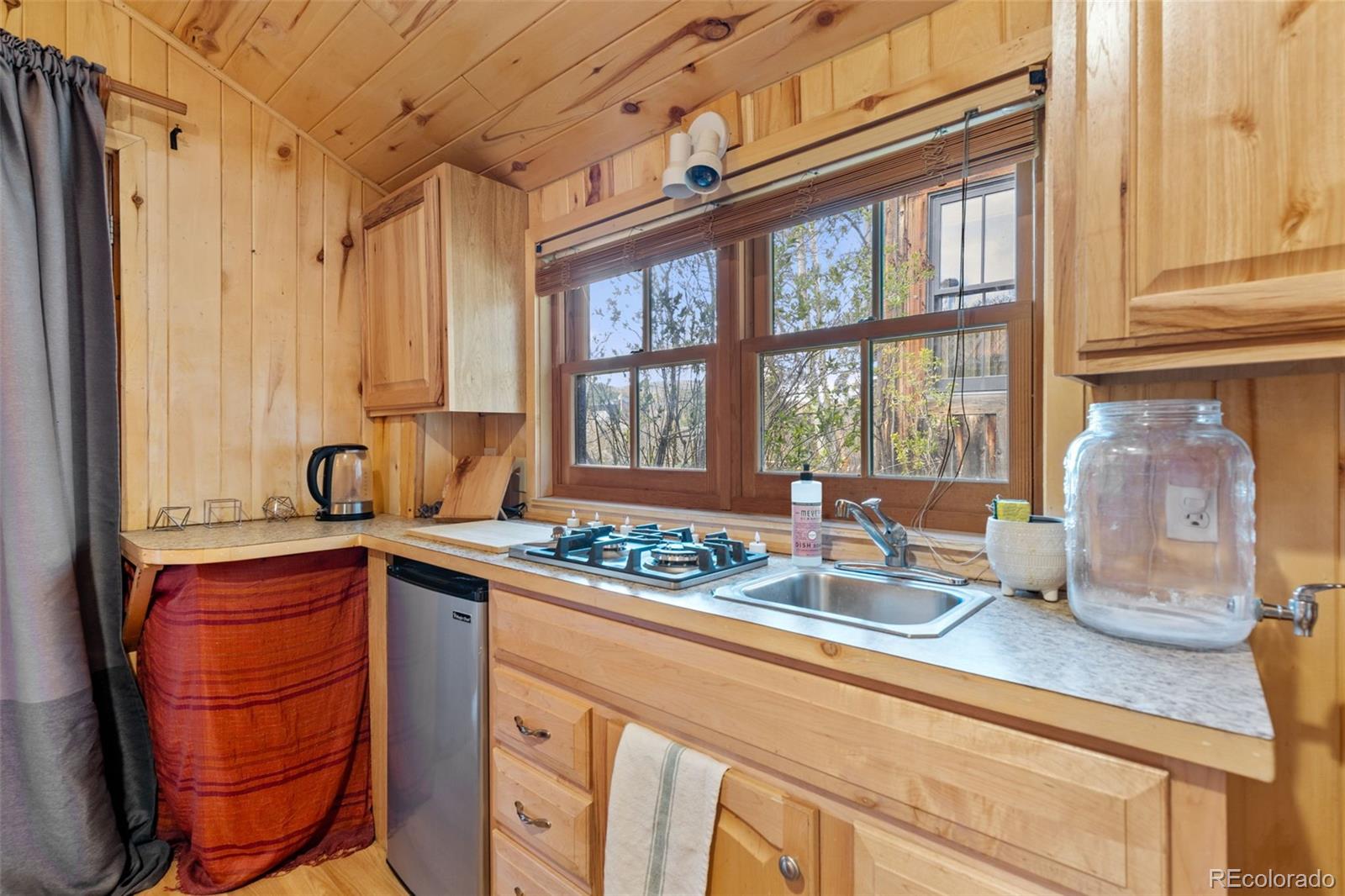 154 E 1st Street Nederland CO 80466