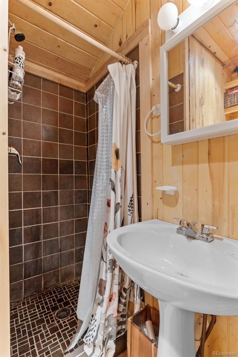 154 E 1st Street Nederland CO 80466