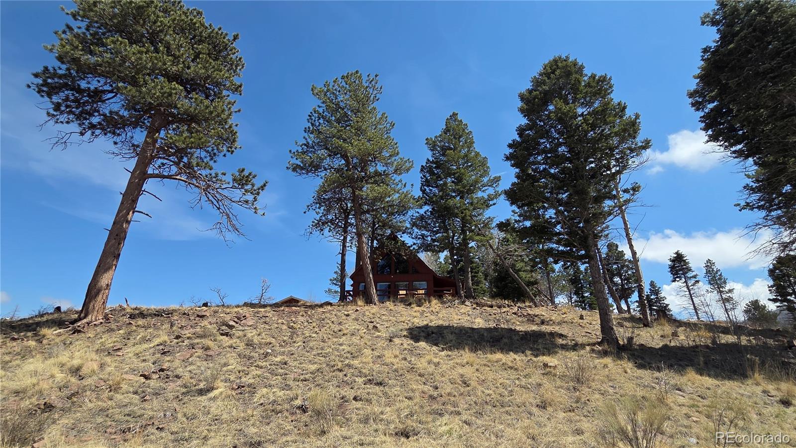 1010 Foy Place Fort Garland CO 81133
