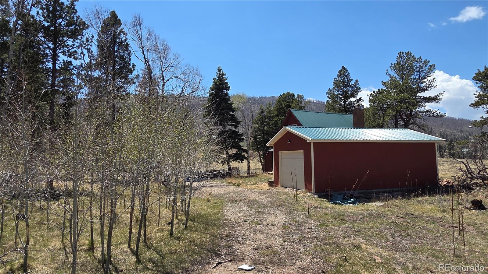 1010 Foy Place Fort Garland CO 81133